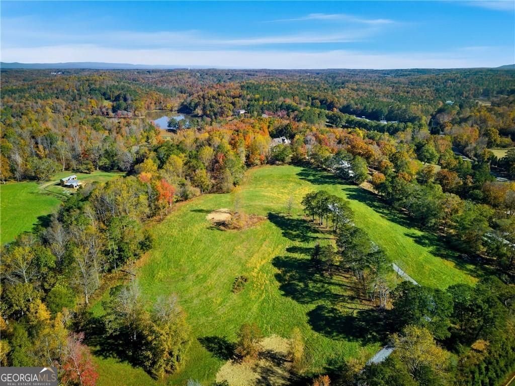 17230A Birmingham Highway Alpharetta - Photo 18