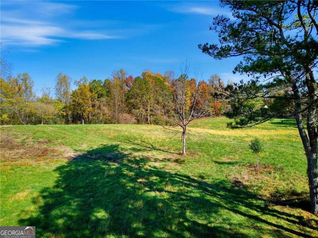 17230A Birmingham Highway Alpharetta - Photo 19