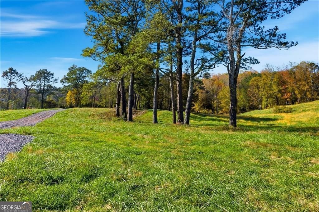 17230A Birmingham Highway Alpharetta - Photo 20