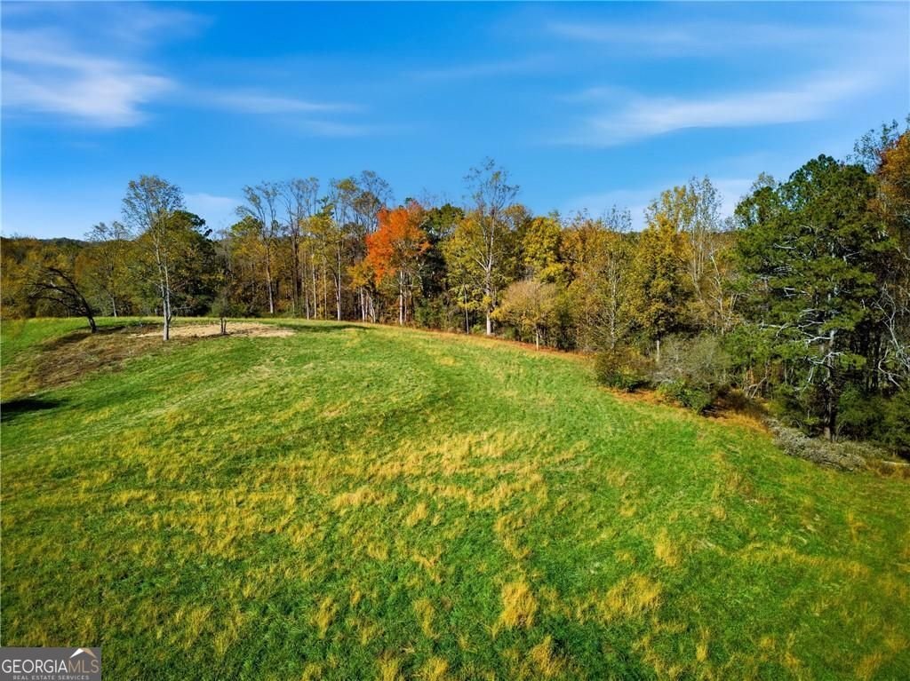 17230A Birmingham Highway Alpharetta - Photo 6