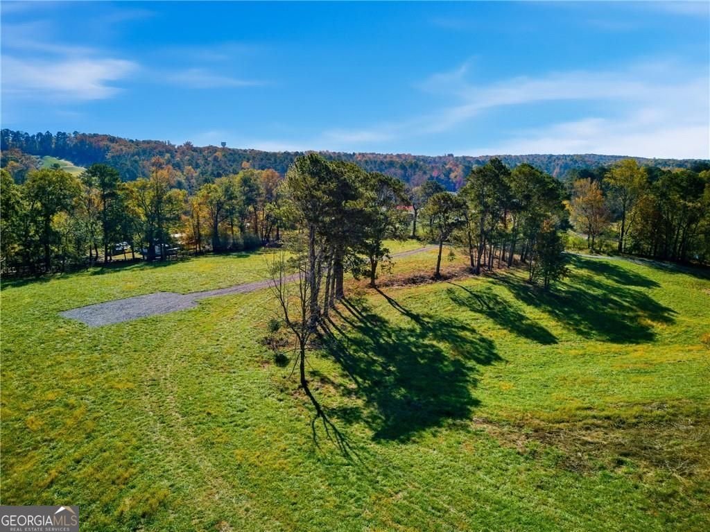 17230A Birmingham Highway Alpharetta - Photo 7