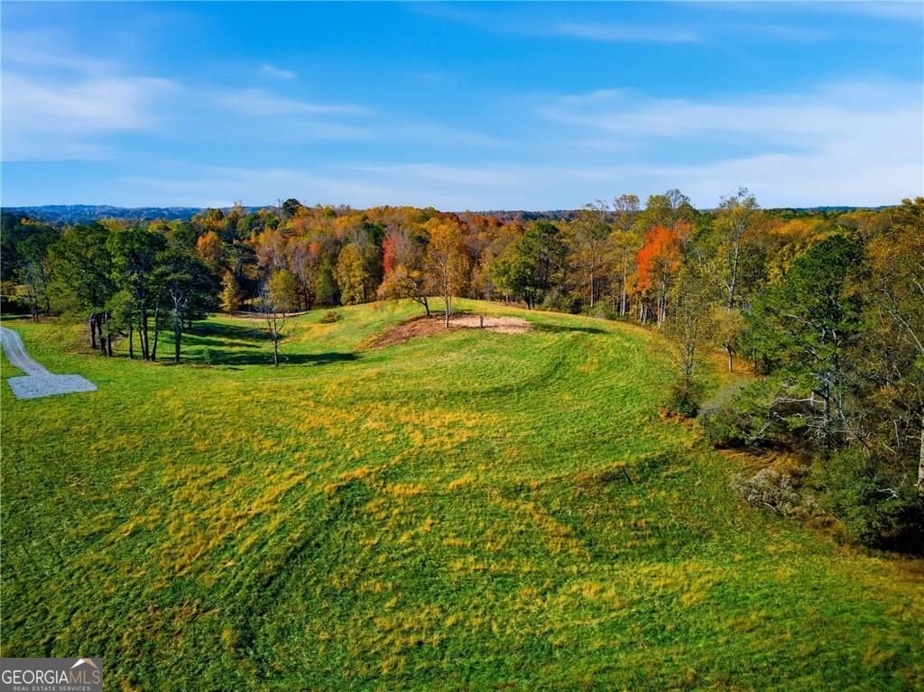 17230A Birmingham Highway Alpharetta - Photo 8