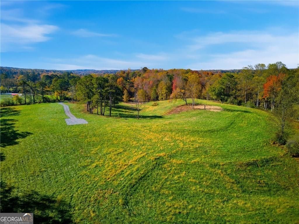 17230A Birmingham Highway Alpharetta - Photo 9