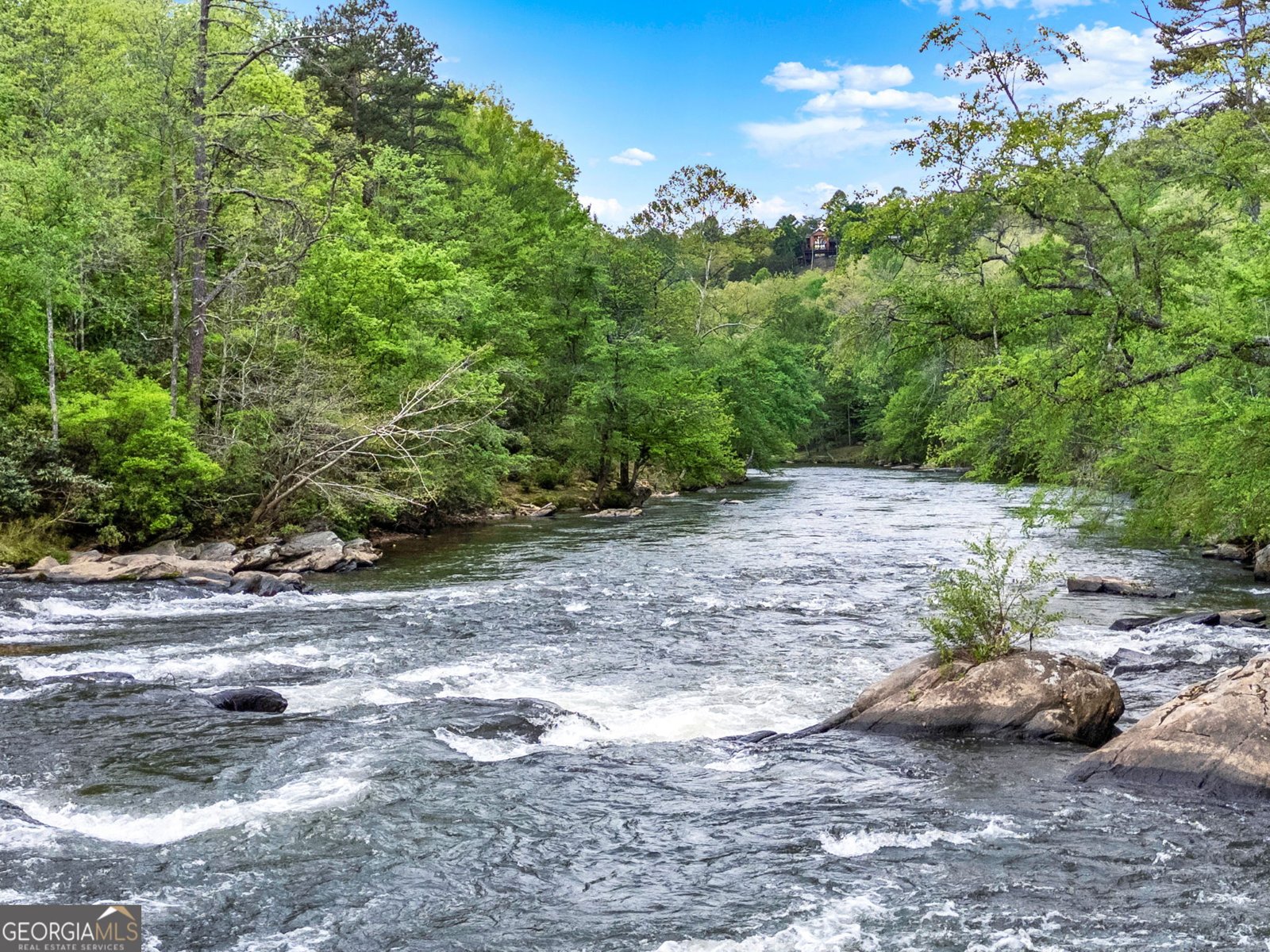 133 Muller Lane Ellijay - Photo 54