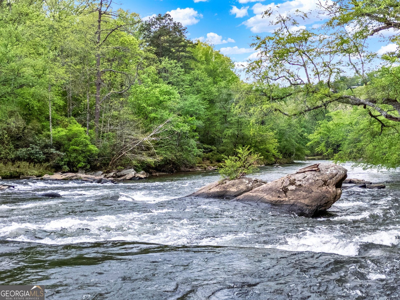 133 Muller Lane Ellijay - Photo 55