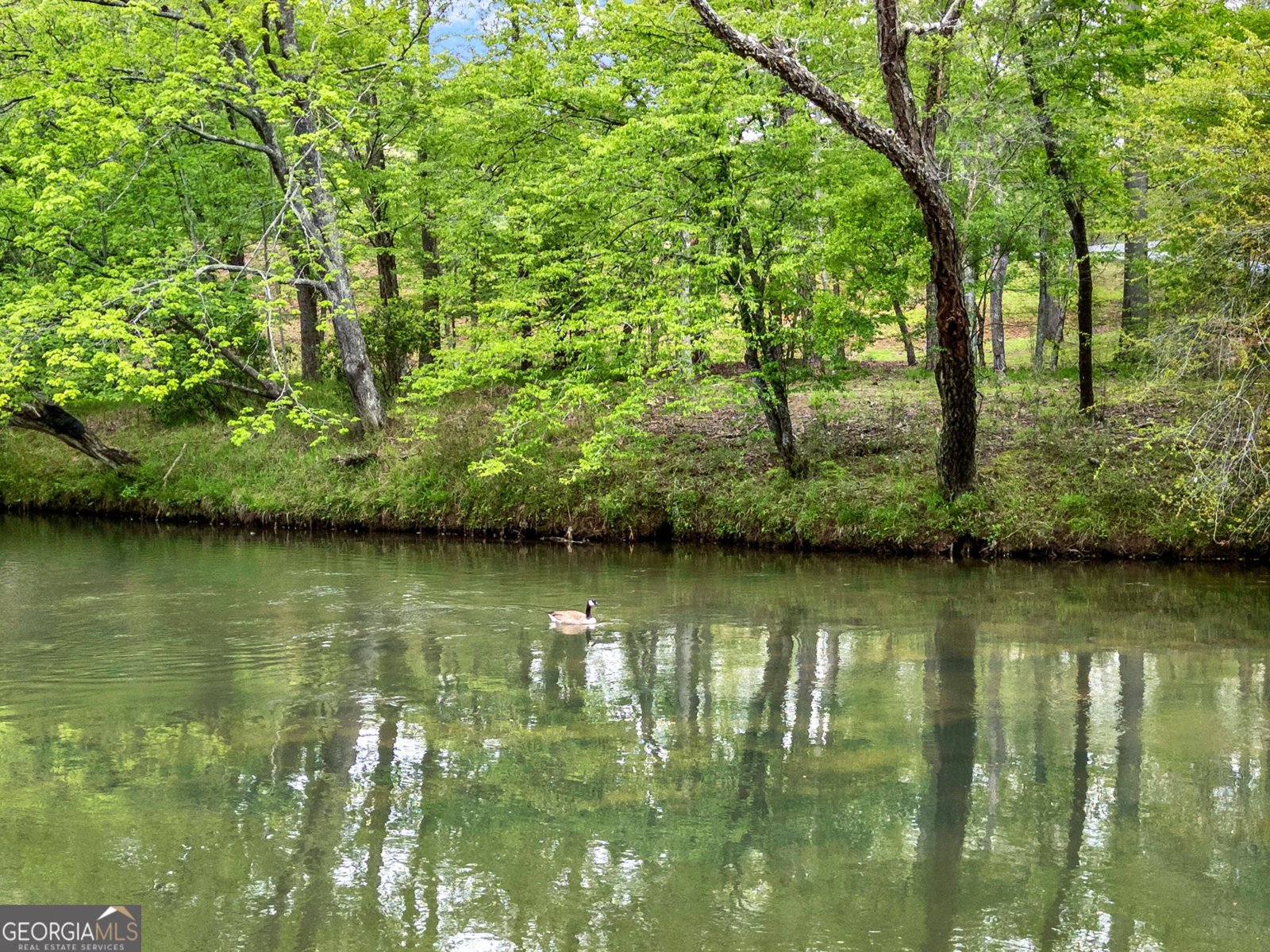 133 Muller Lane Ellijay - Photo 64