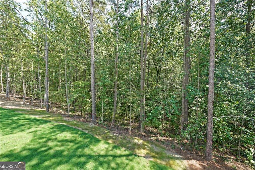 245 West Woods Drive Dahlonega - Photo 26