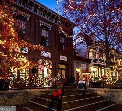 245 West Woods Drive Dahlonega - Photo 31