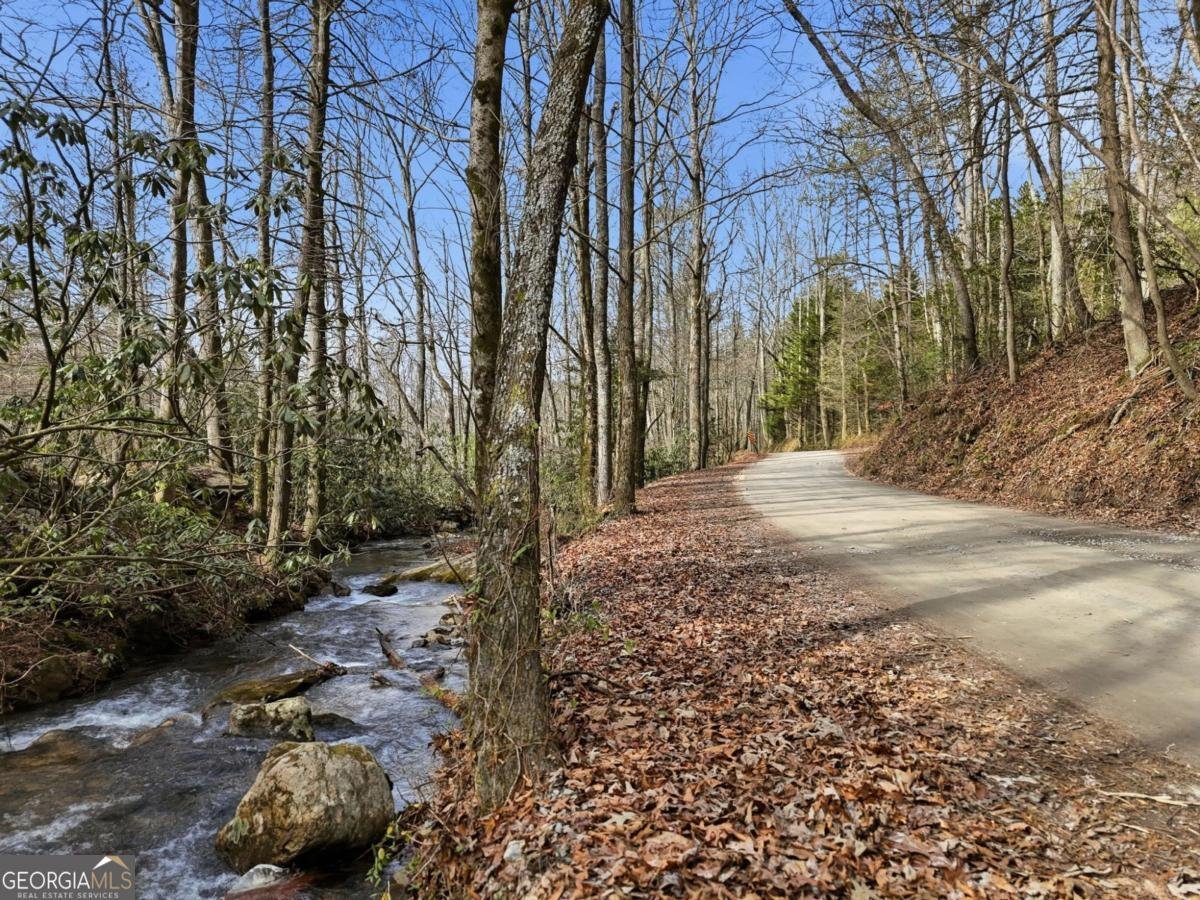 861 Little Rock Creek Cherry Log - Photo 35