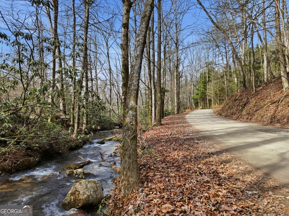 861 Little Rock Creek Cherry Log - Photo 36