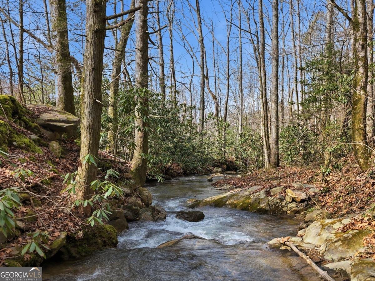 861 Little Rock Creek Cherry Log - Photo 37