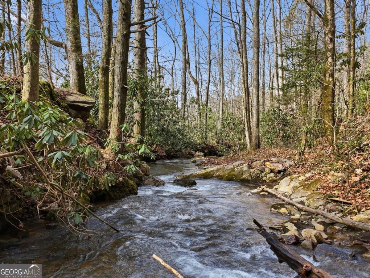 861 Little Rock Creek Cherry Log - Photo 38