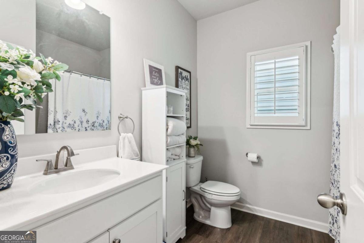 4365 Sunflower Circle Cumming - Photo 9