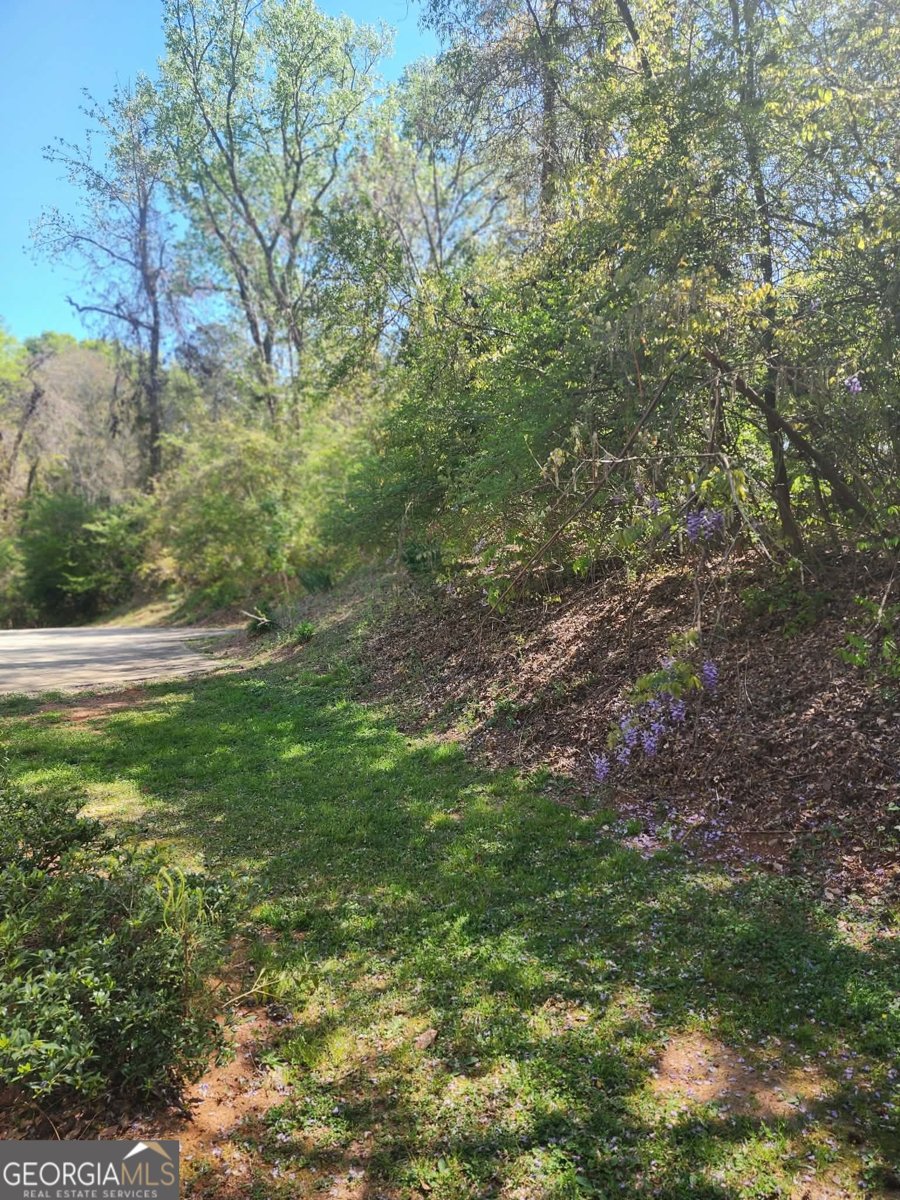 1175 Diamond Hill Colbert Road Colbert - Photo 39