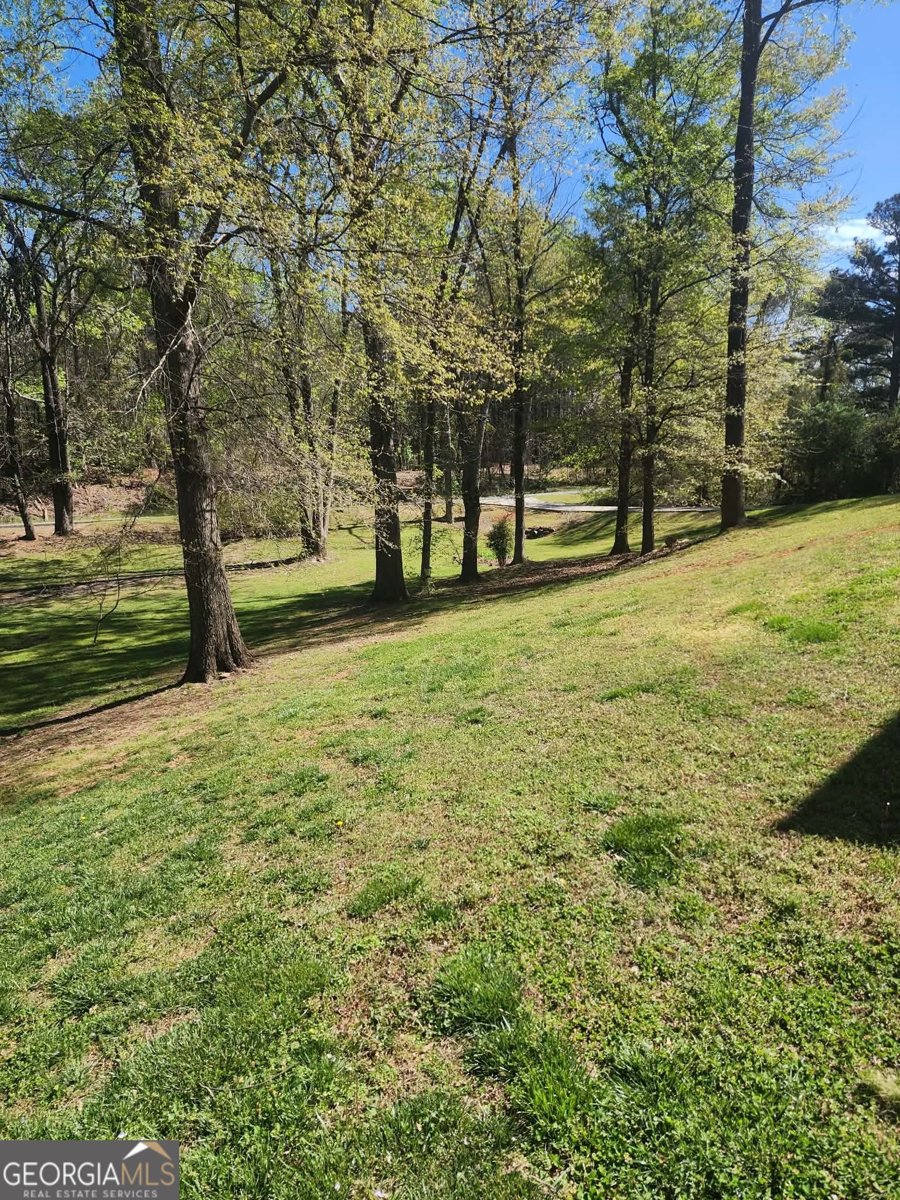 1175 Diamond Hill Colbert Road Colbert - Photo 41