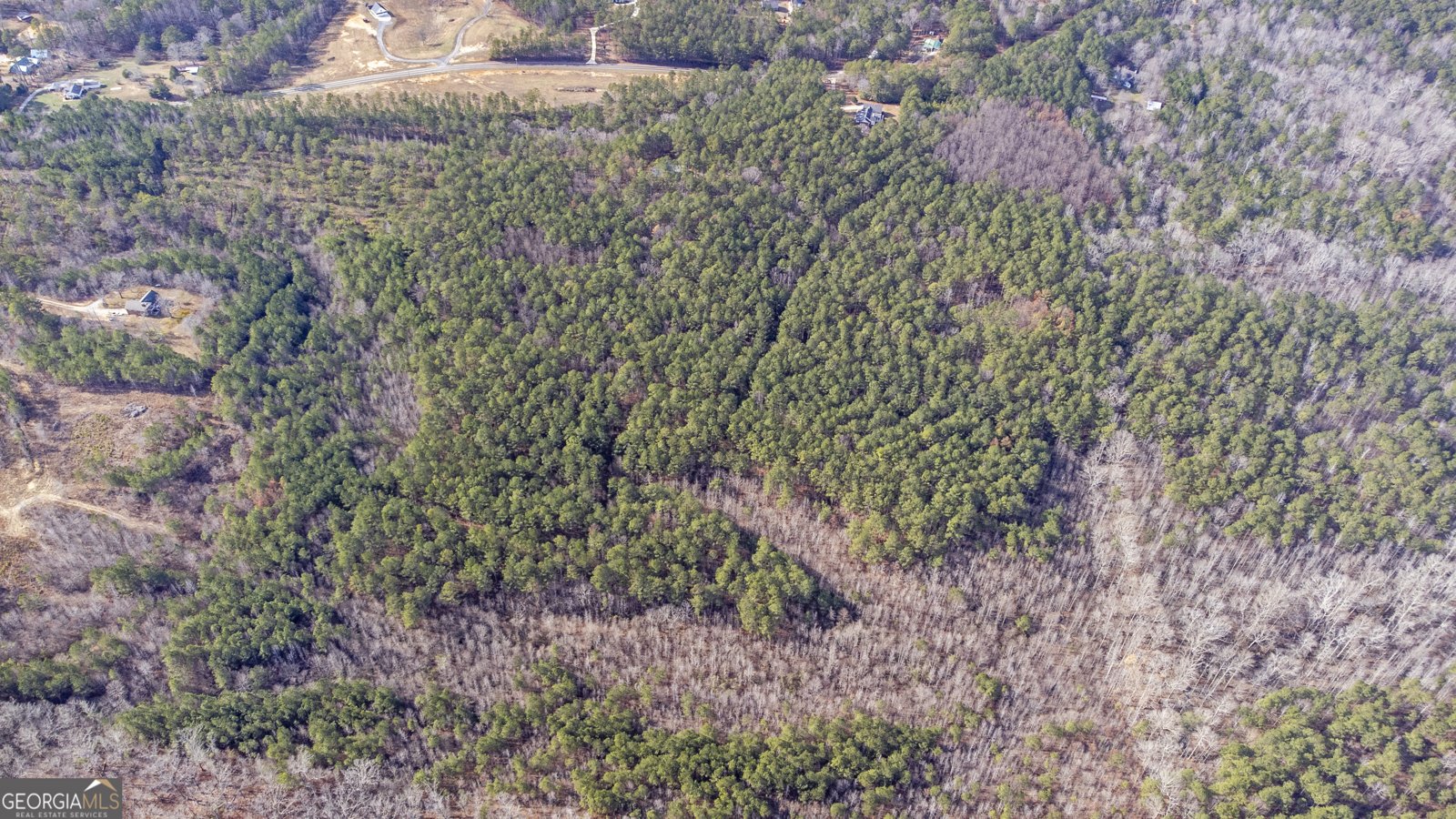 273 High Point Road Buchanan - Photo 64