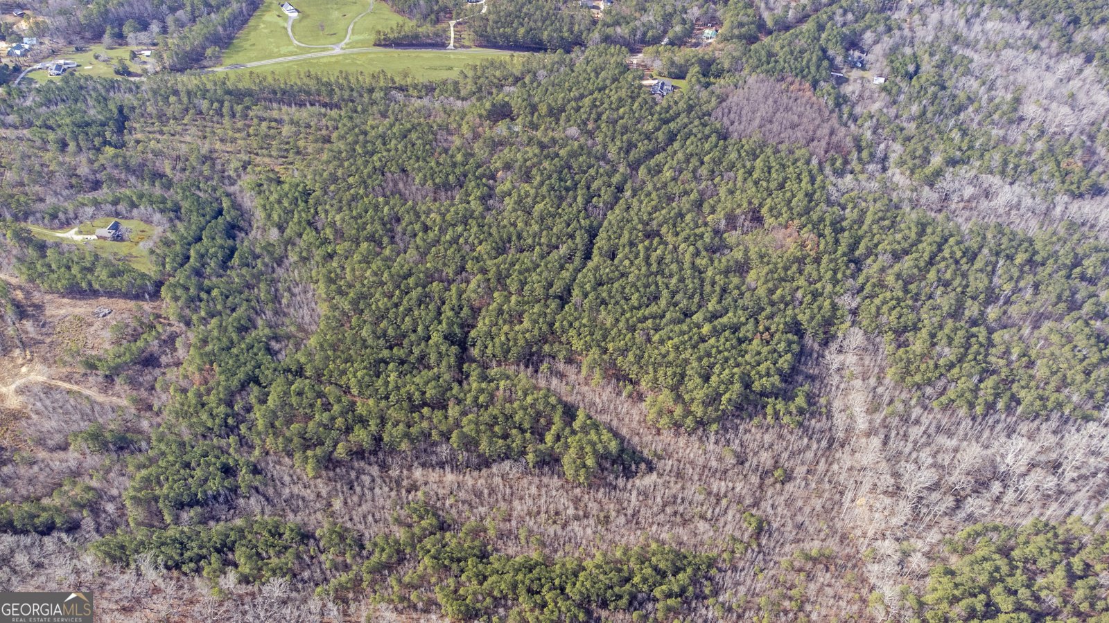 273 High Point Road Buchanan - Photo 65