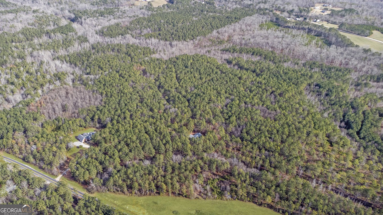 273 High Point Road Buchanan - Photo 67