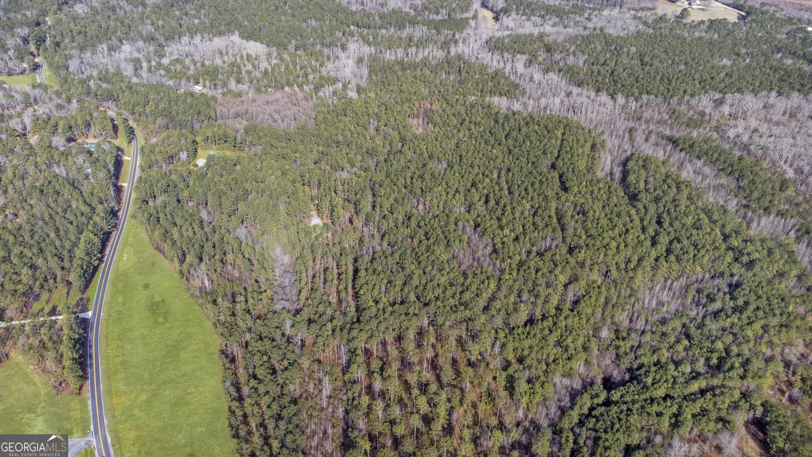 273 High Point Road Buchanan - Photo 73