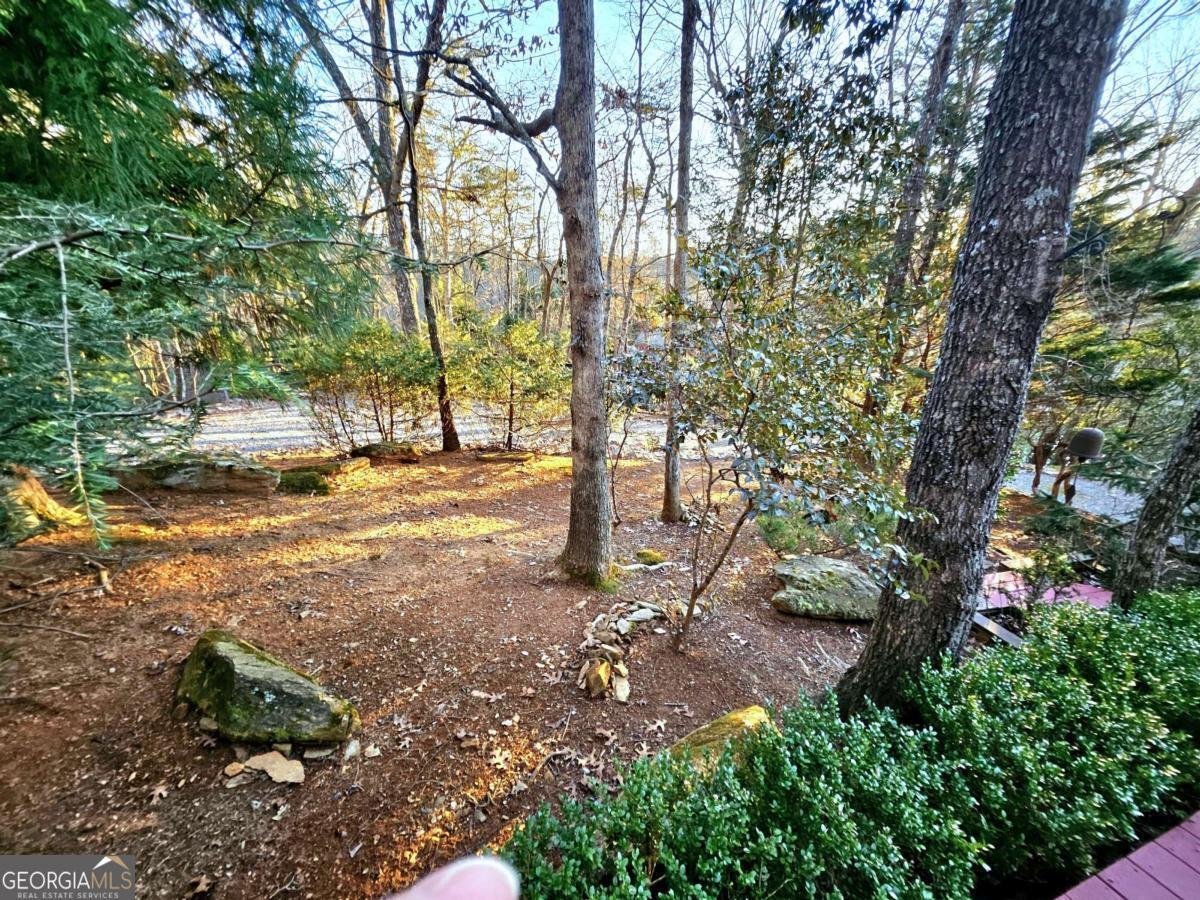 246 Adams Circle Mineral Bluff - Photo 11