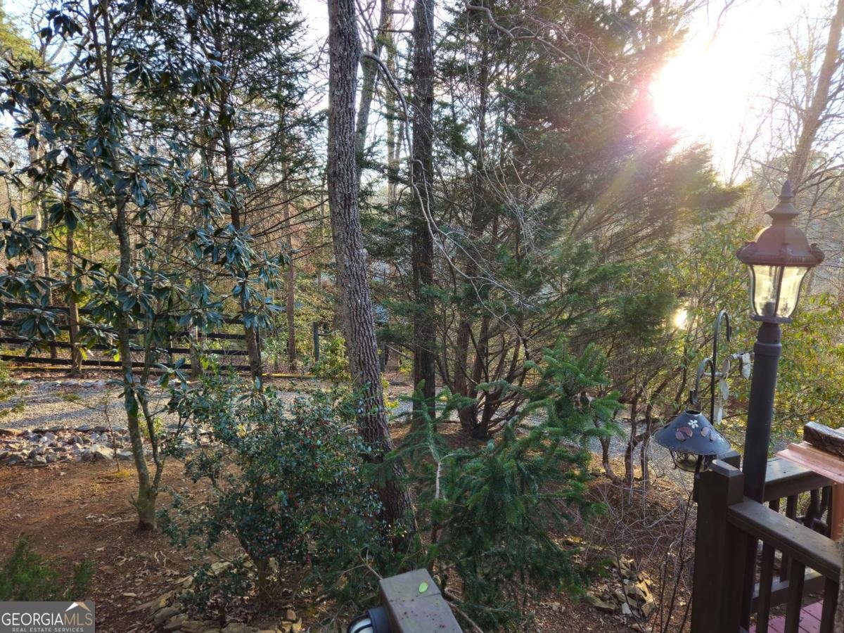 246 Adams Circle Mineral Bluff - Photo 13