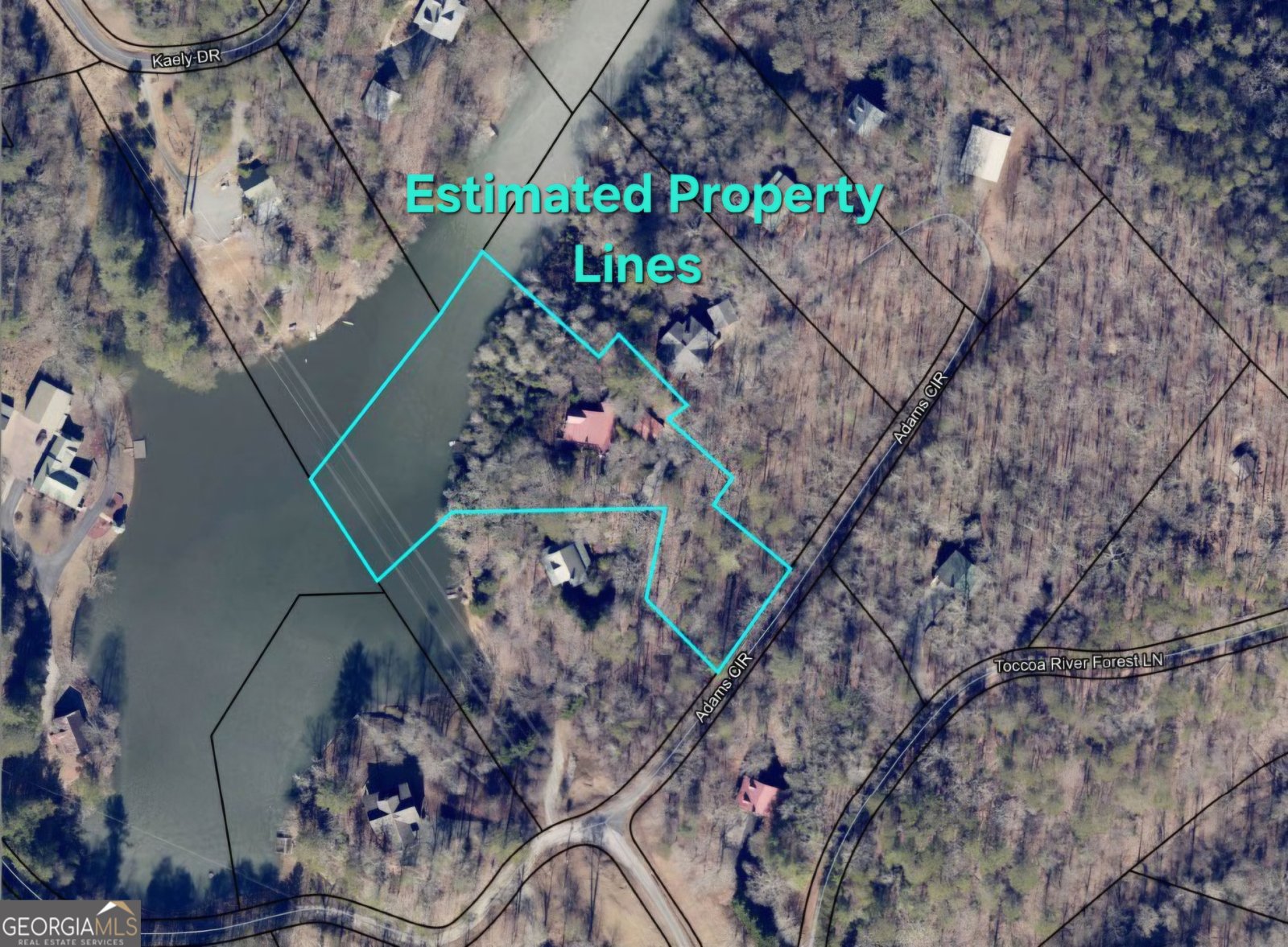 246 Adams Circle Mineral Bluff - Photo 79