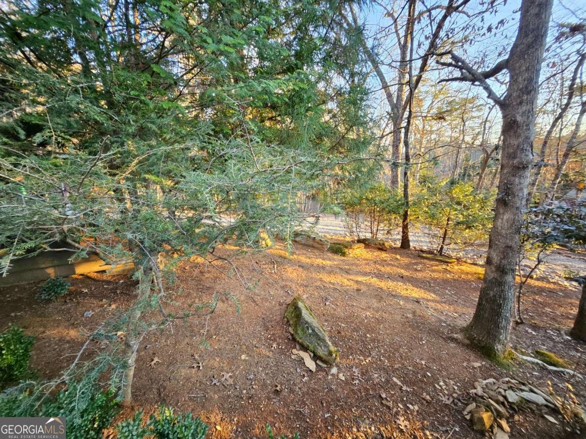 246 Adams Circle Mineral Bluff - Photo 9