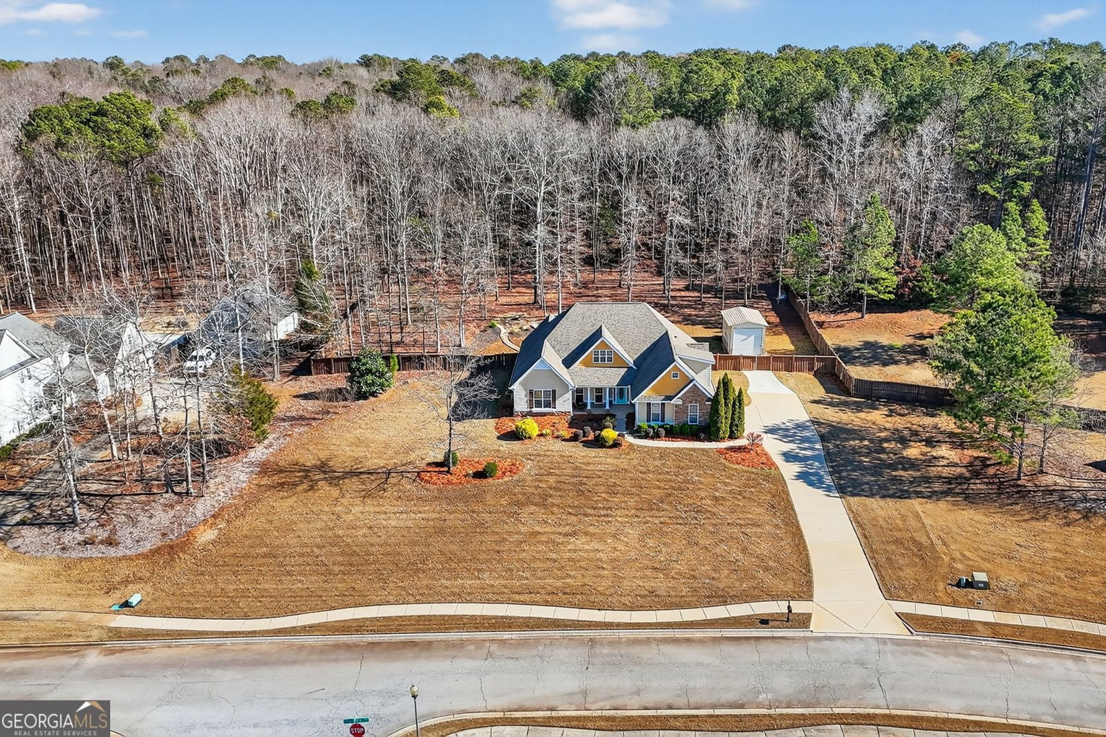 113 Lighthorse Boulevard McDonough - Photo 55