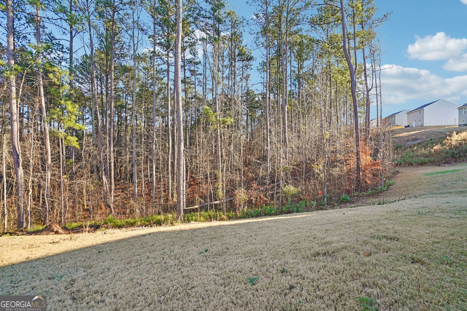 423 Hopi Lane Villa Rica - Photo 37