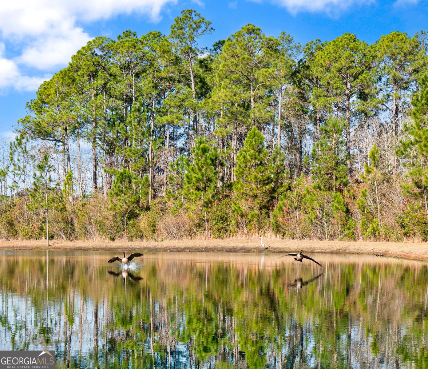 239 Daniel Trent Way Kingsland - Photo 47