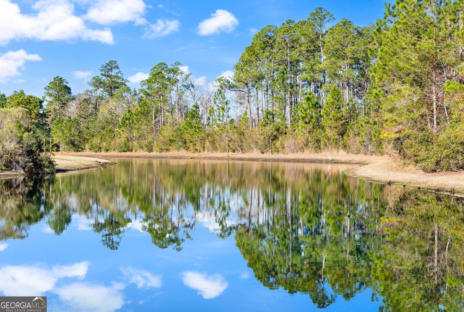 239 Daniel Trent Way Kingsland - Photo 48