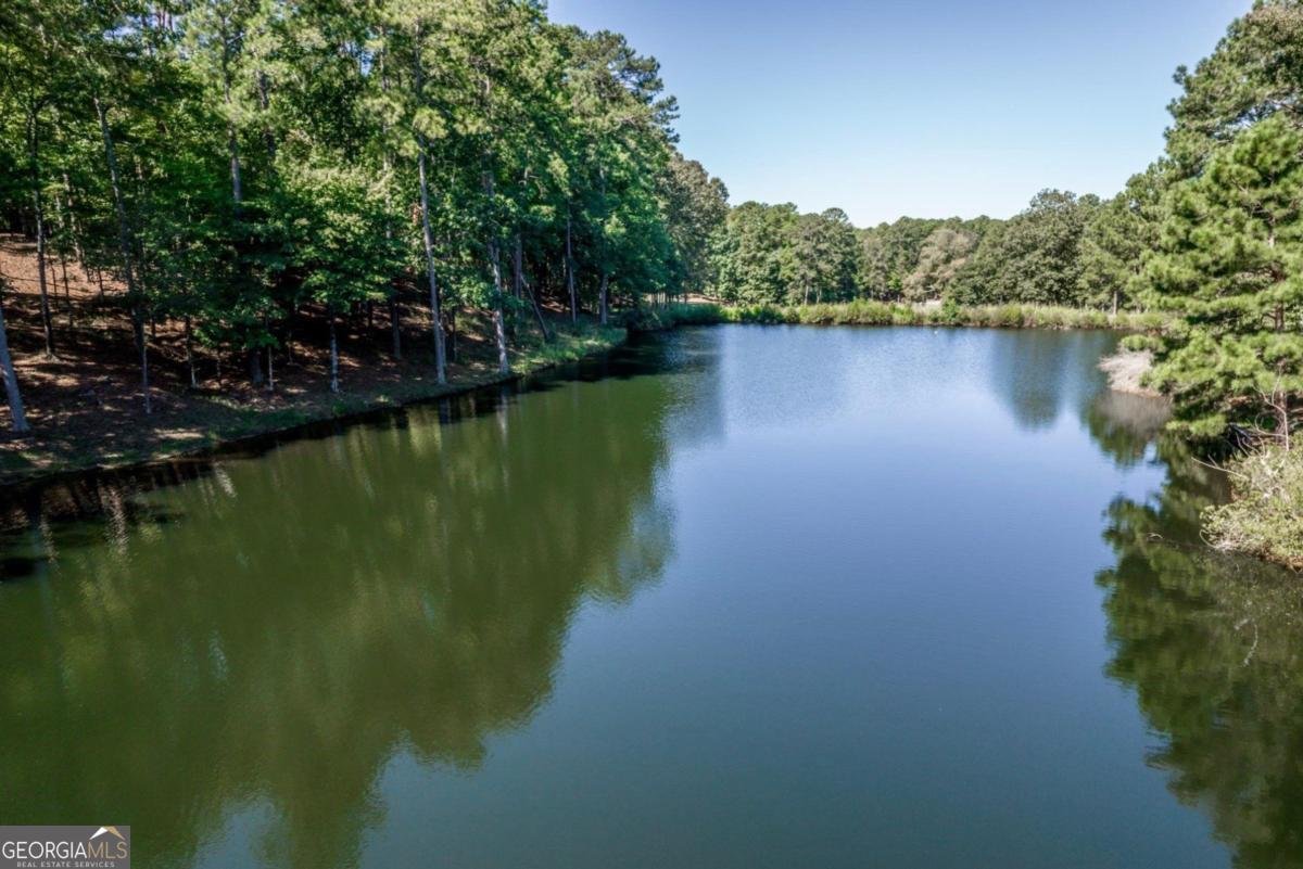 1091 Maple Ridge Way Greensboro - Photo 36