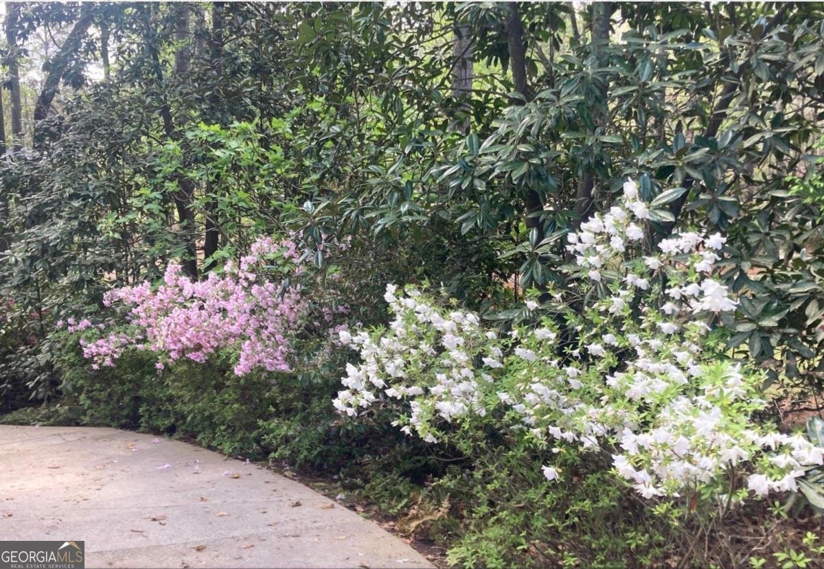 1091 Maple Ridge Way Greensboro - Photo 48