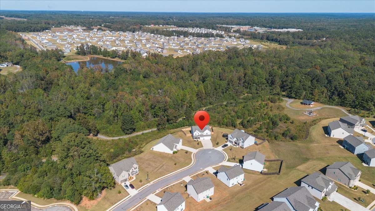 1171 Bodega Loop Locust Grove - Photo 48