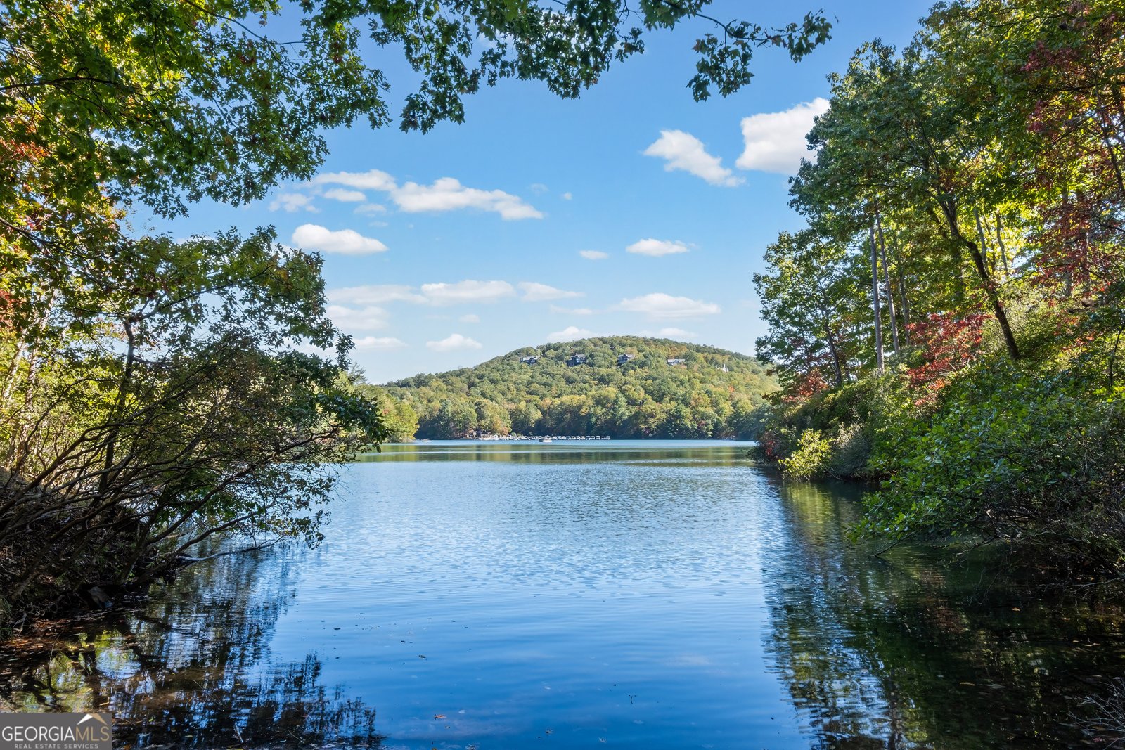 81 Flycatcher Point Big Canoe - Photo 61