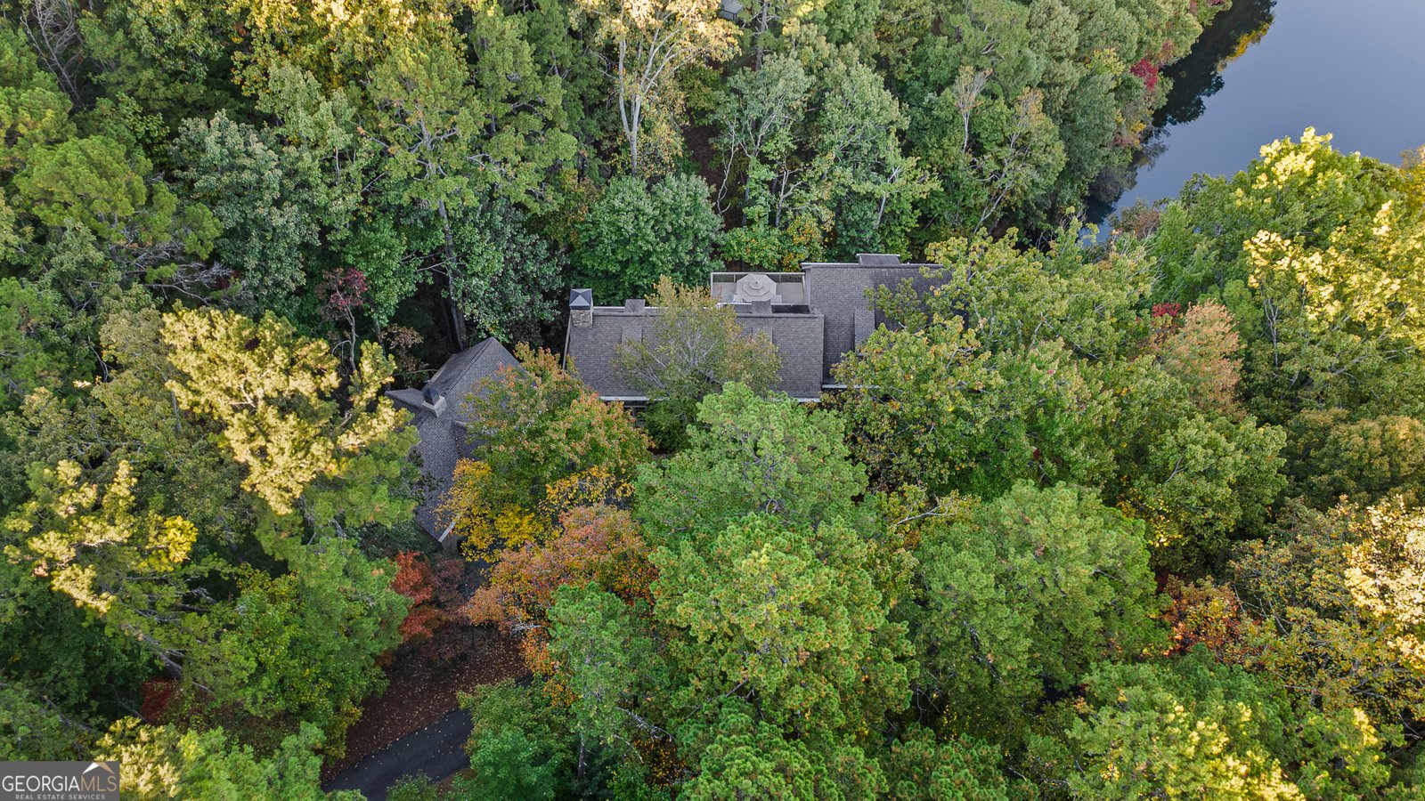 81 Flycatcher Point Big Canoe - Photo 77