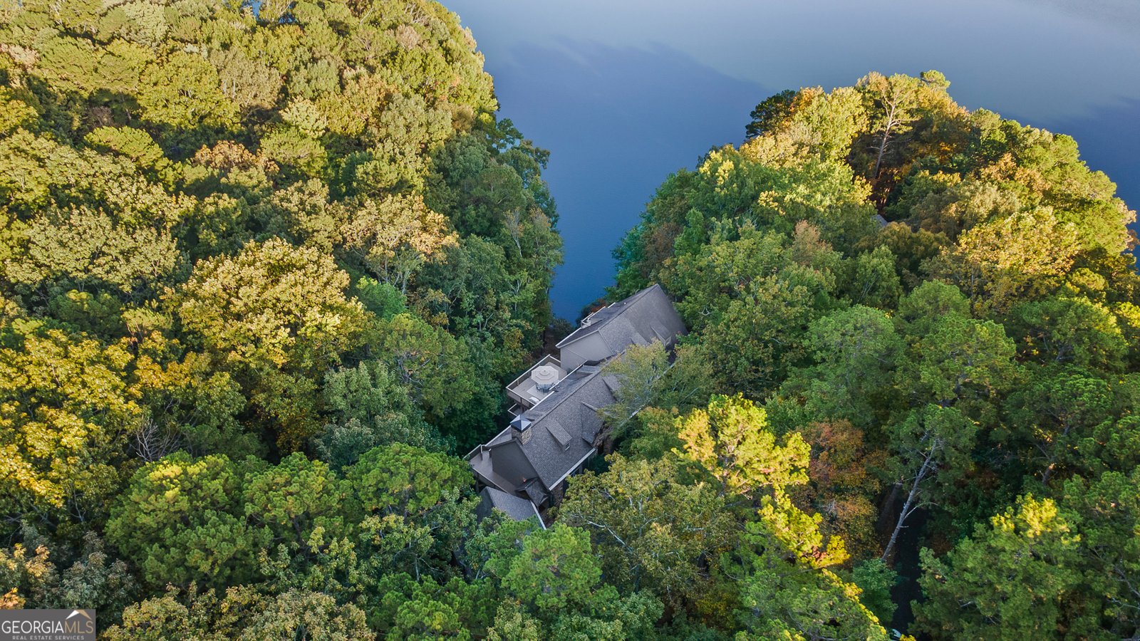 81 Flycatcher Point Big Canoe - Photo 78