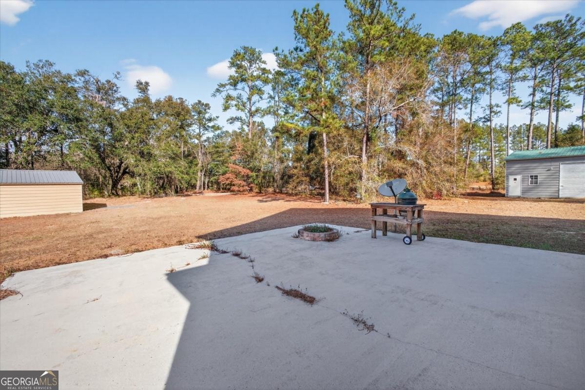 525 Elkins Cemetery Road Guyton - Photo 47