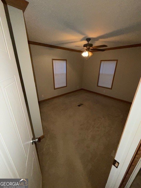 163 Dellwood Road Swainsboro - Photo 18