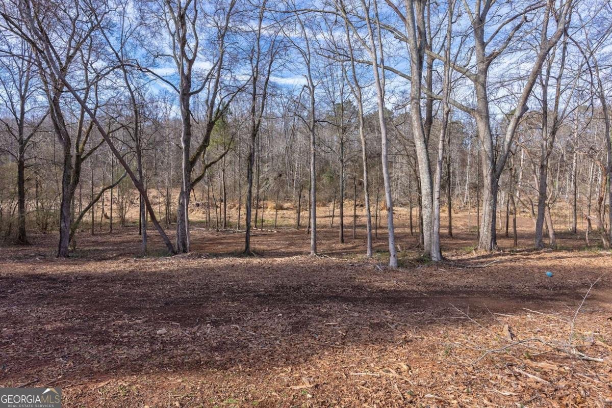 293 Oxmoor Clos Winterville - Photo 51