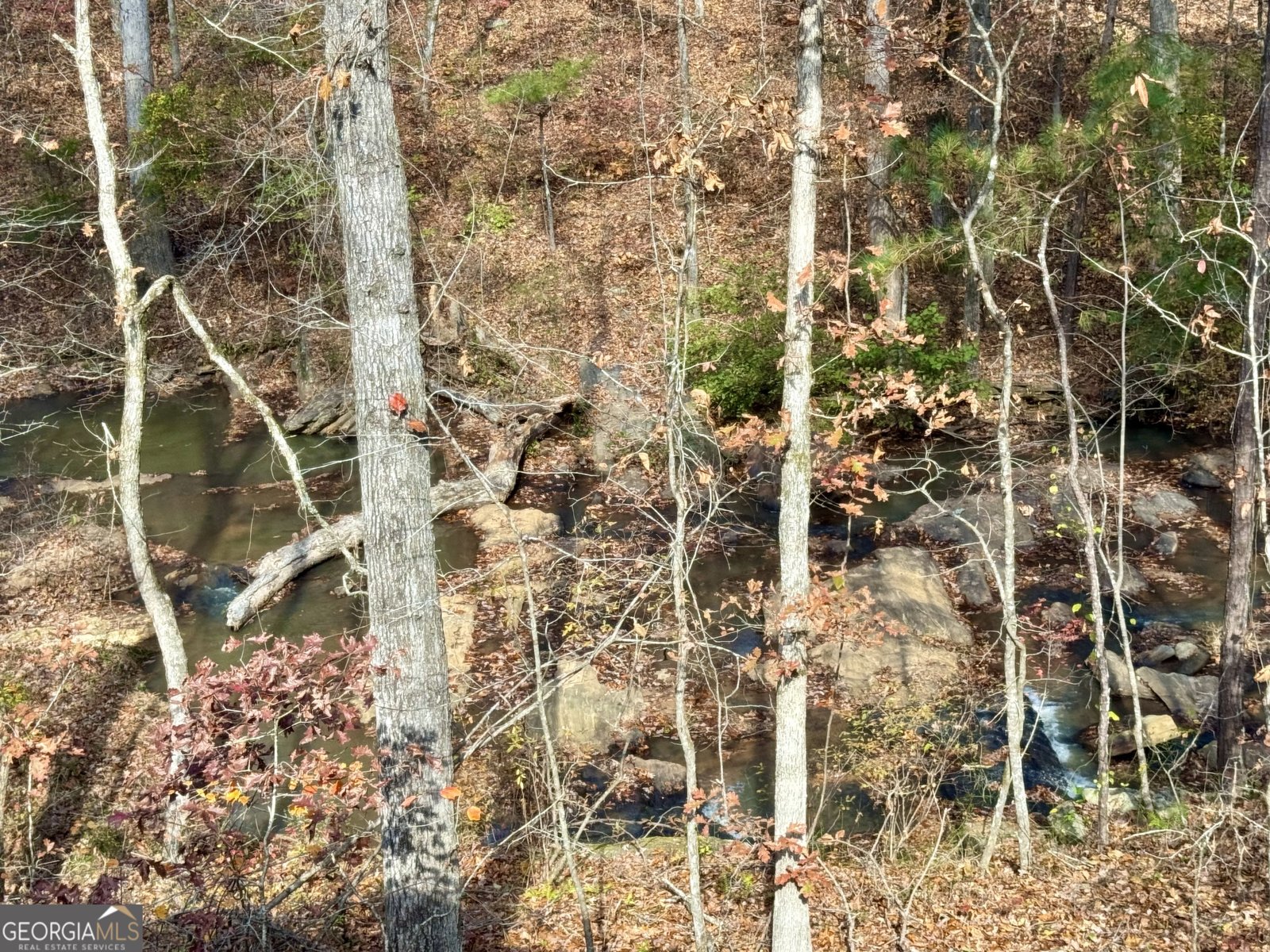 1012 King Mill Road Mcdonough - Photo 36