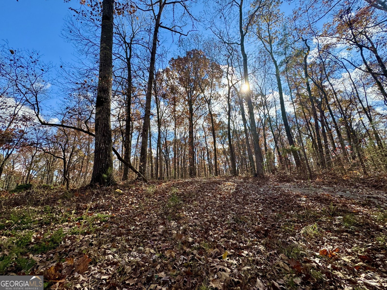 1012 King Mill Road Mcdonough - Photo 37