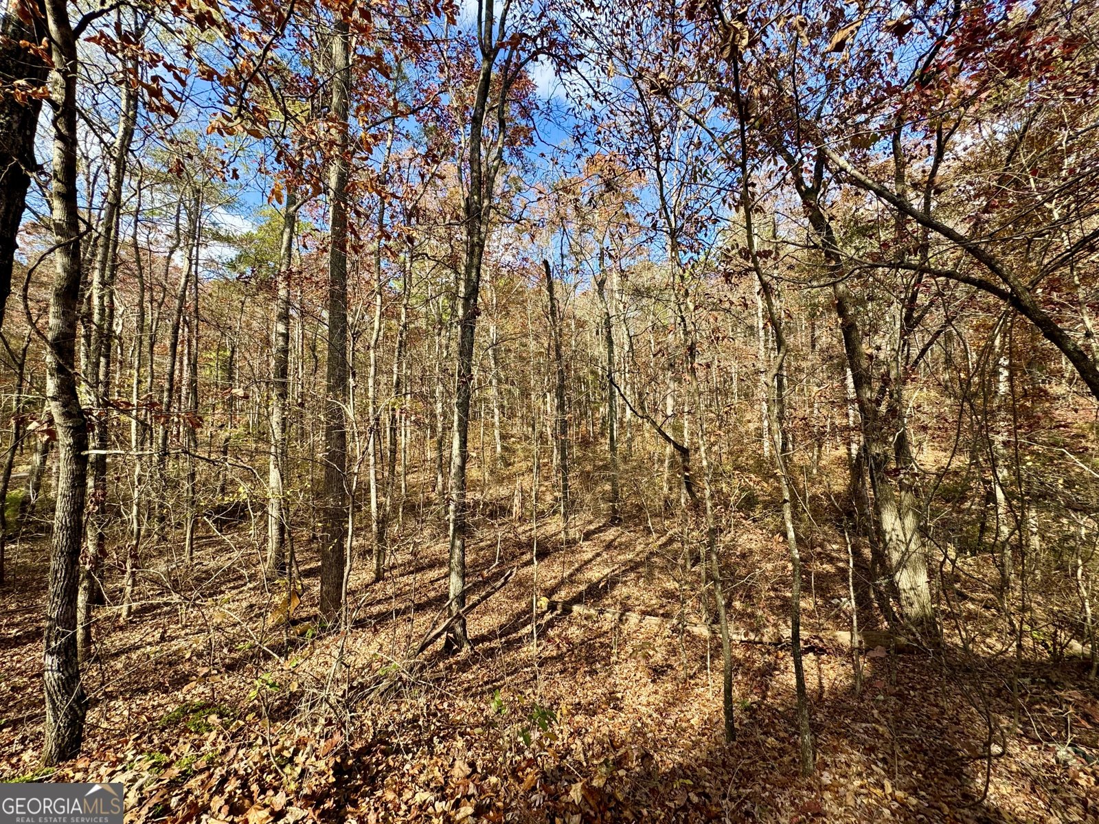 1012 King Mill Road Mcdonough - Photo 38