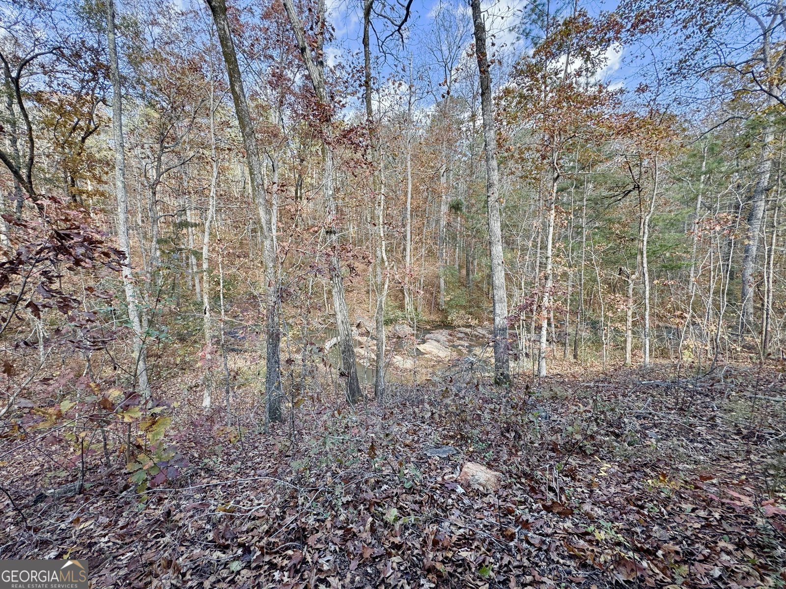 1012 King Mill Road Mcdonough - Photo 39