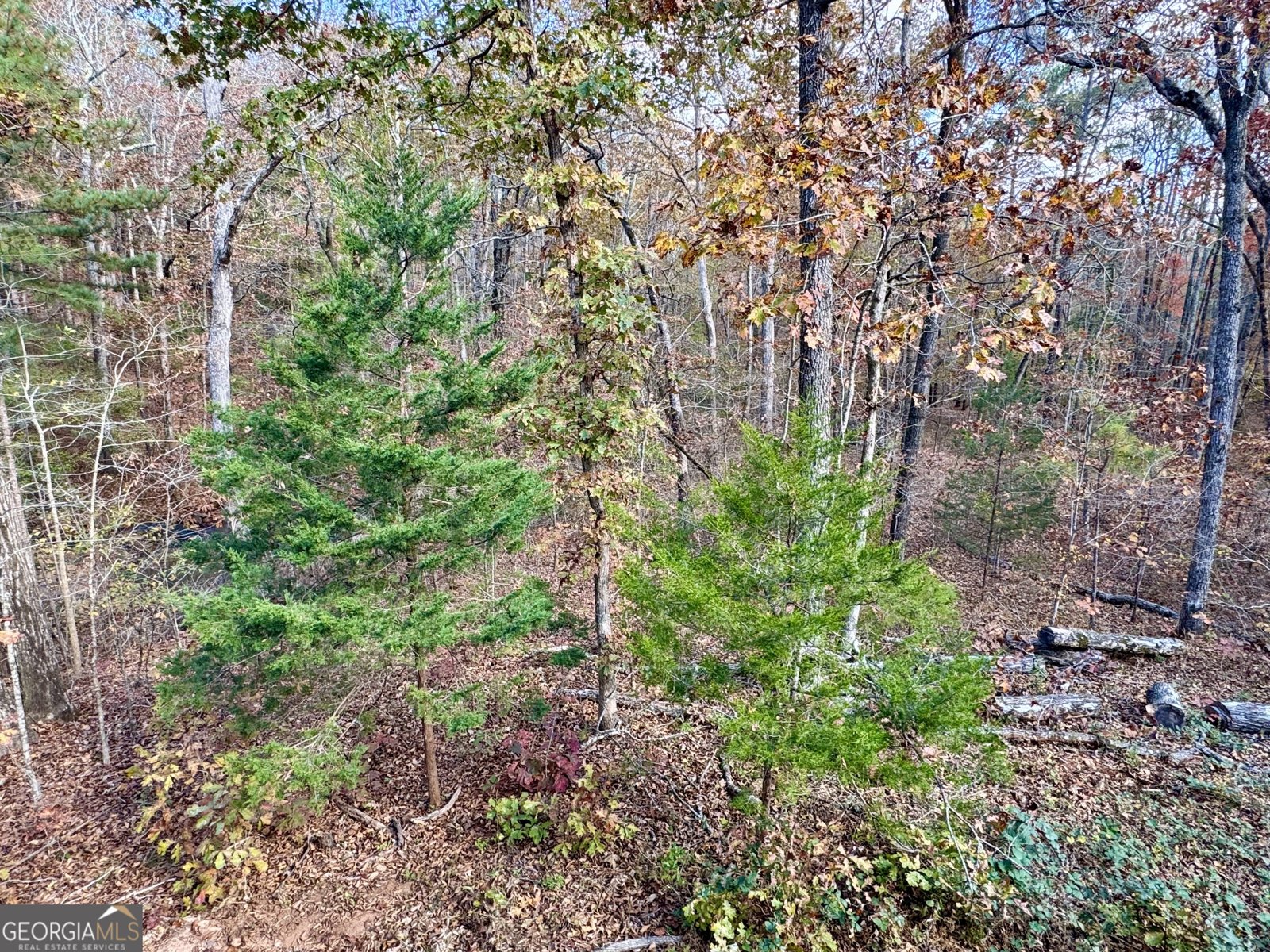 1012 King Mill Road Mcdonough - Photo 40