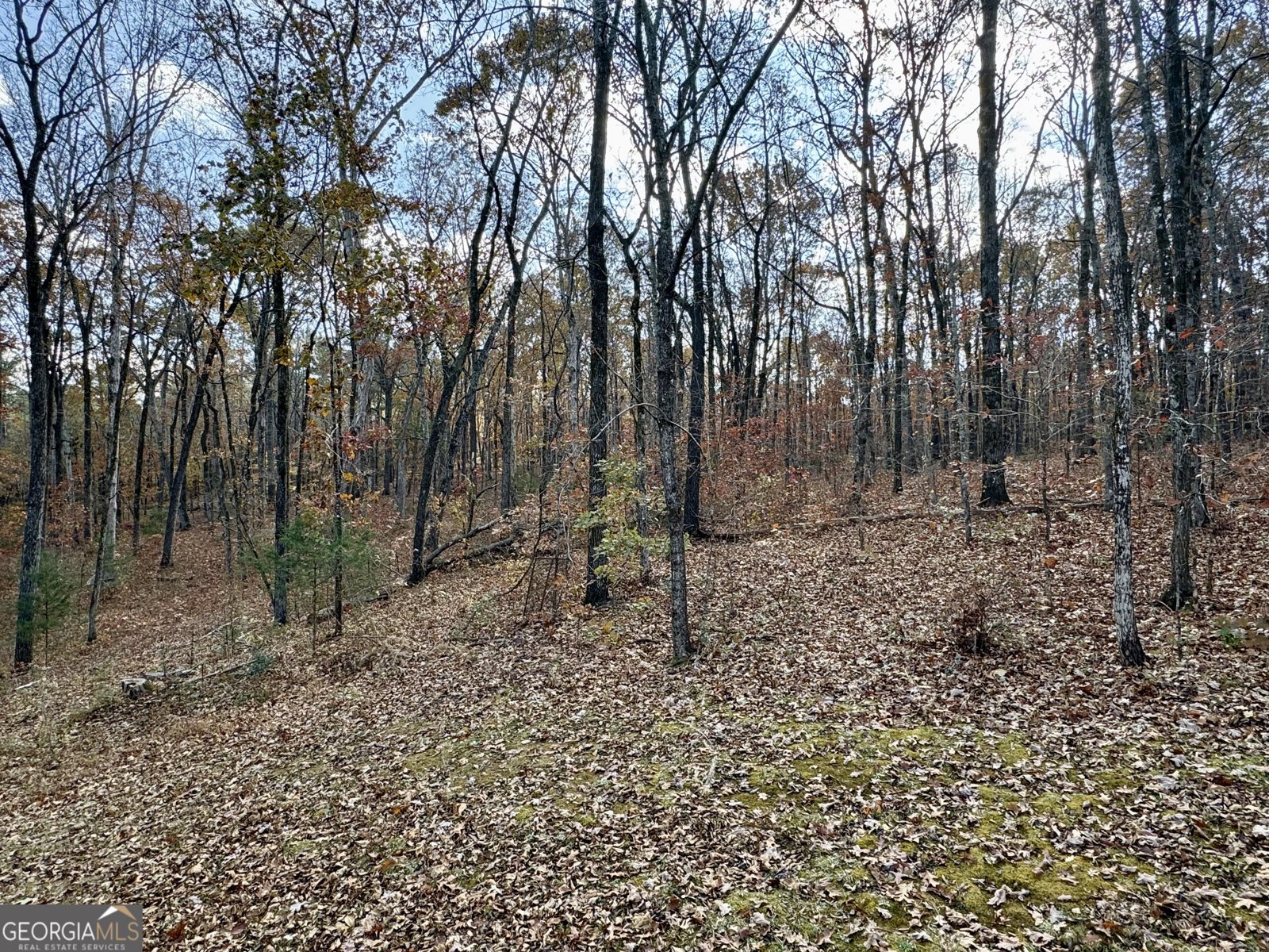 1012 King Mill Road Mcdonough - Photo 41