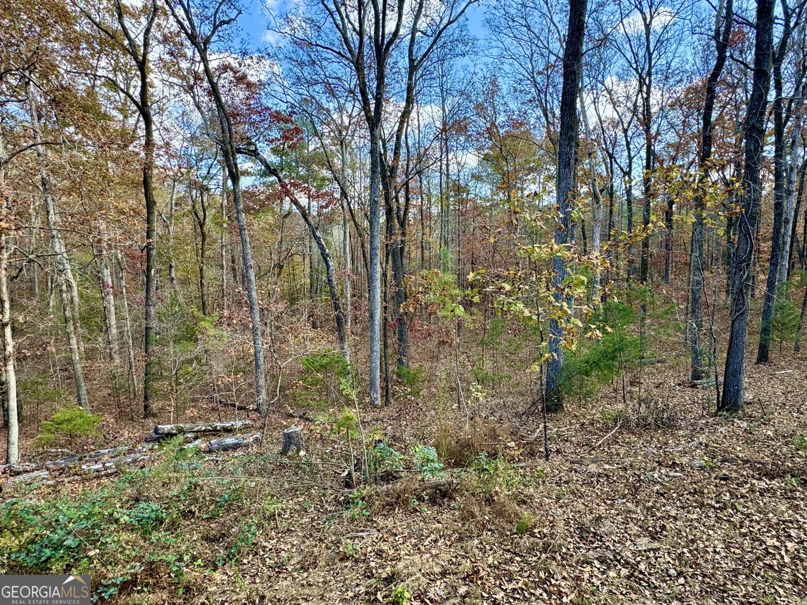 1012 King Mill Road Mcdonough - Photo 42