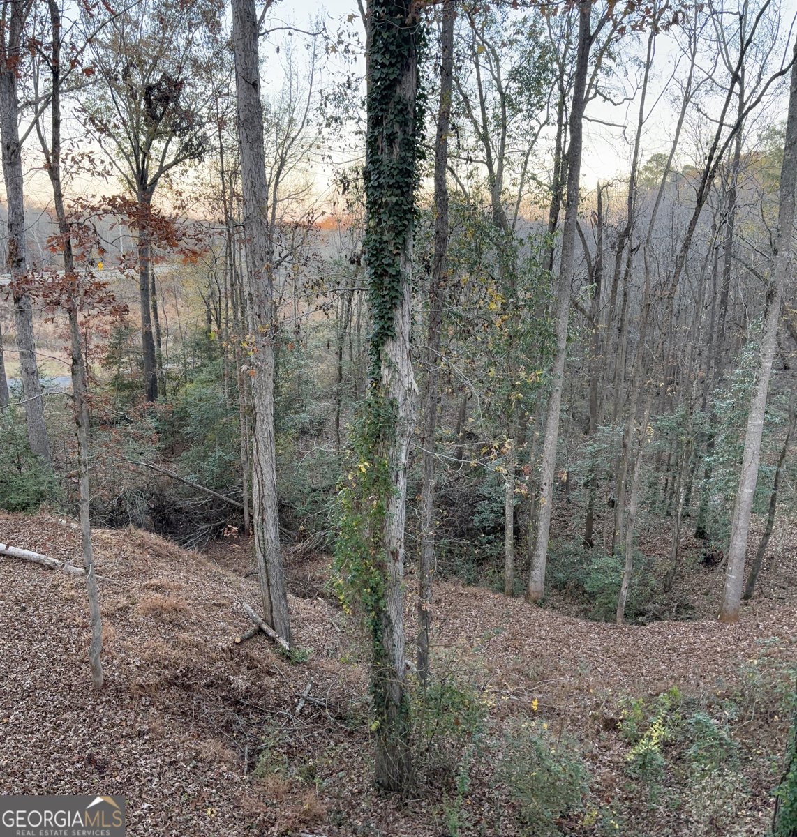 1685 Hwy 54 E Fayetteville - Photo 34