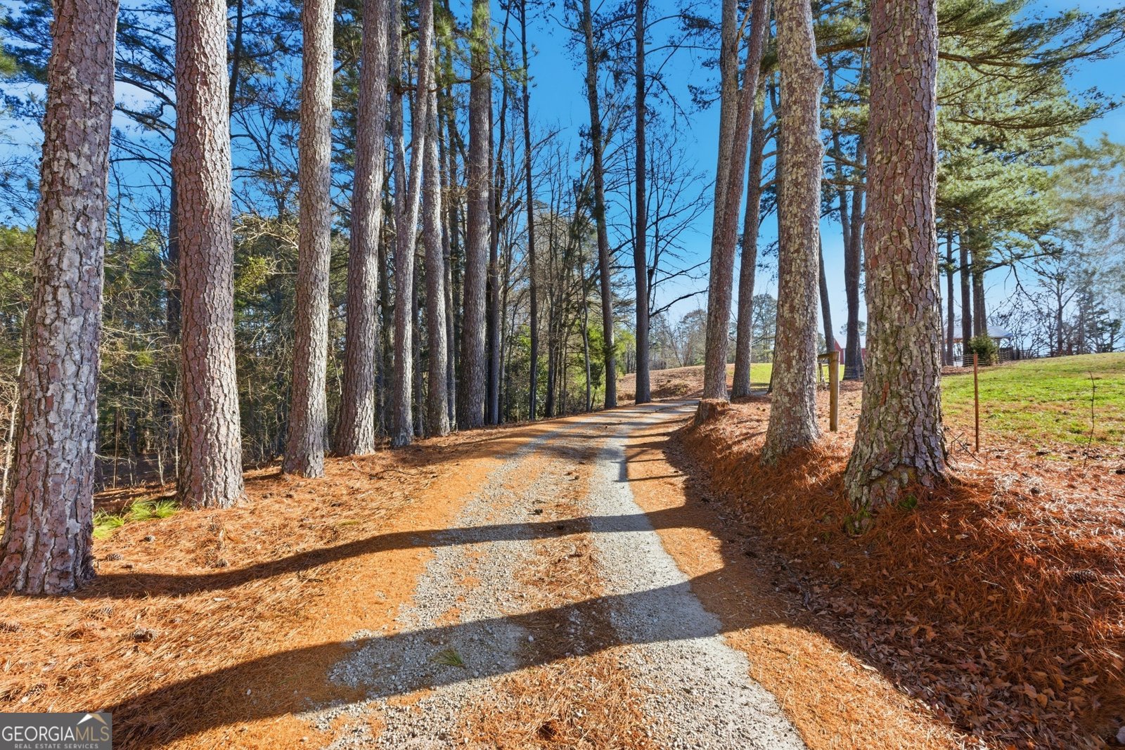 281 Line Road Toccoa - Photo 11