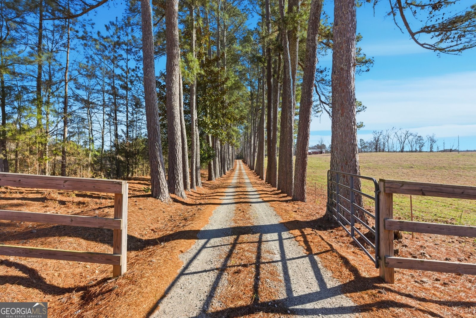 281 Line Road Toccoa - Photo 12